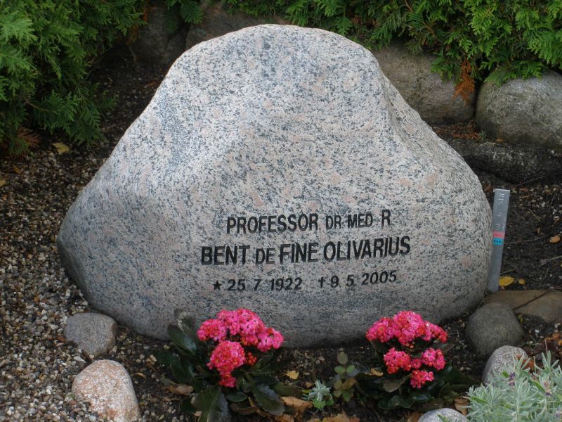 Bent De Fine Olivarius.JPG
